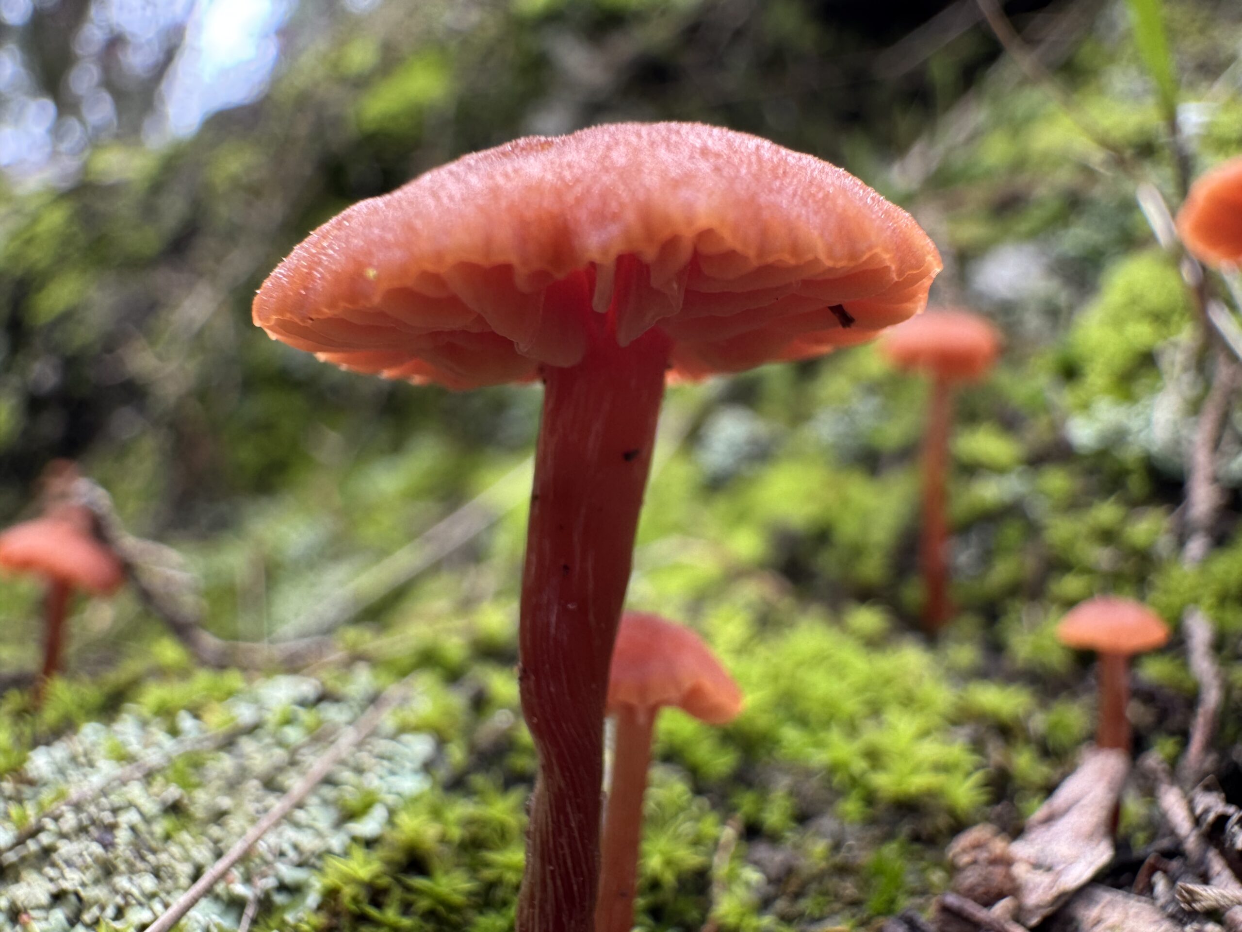 2025 05 04 11.54.53 Scaled