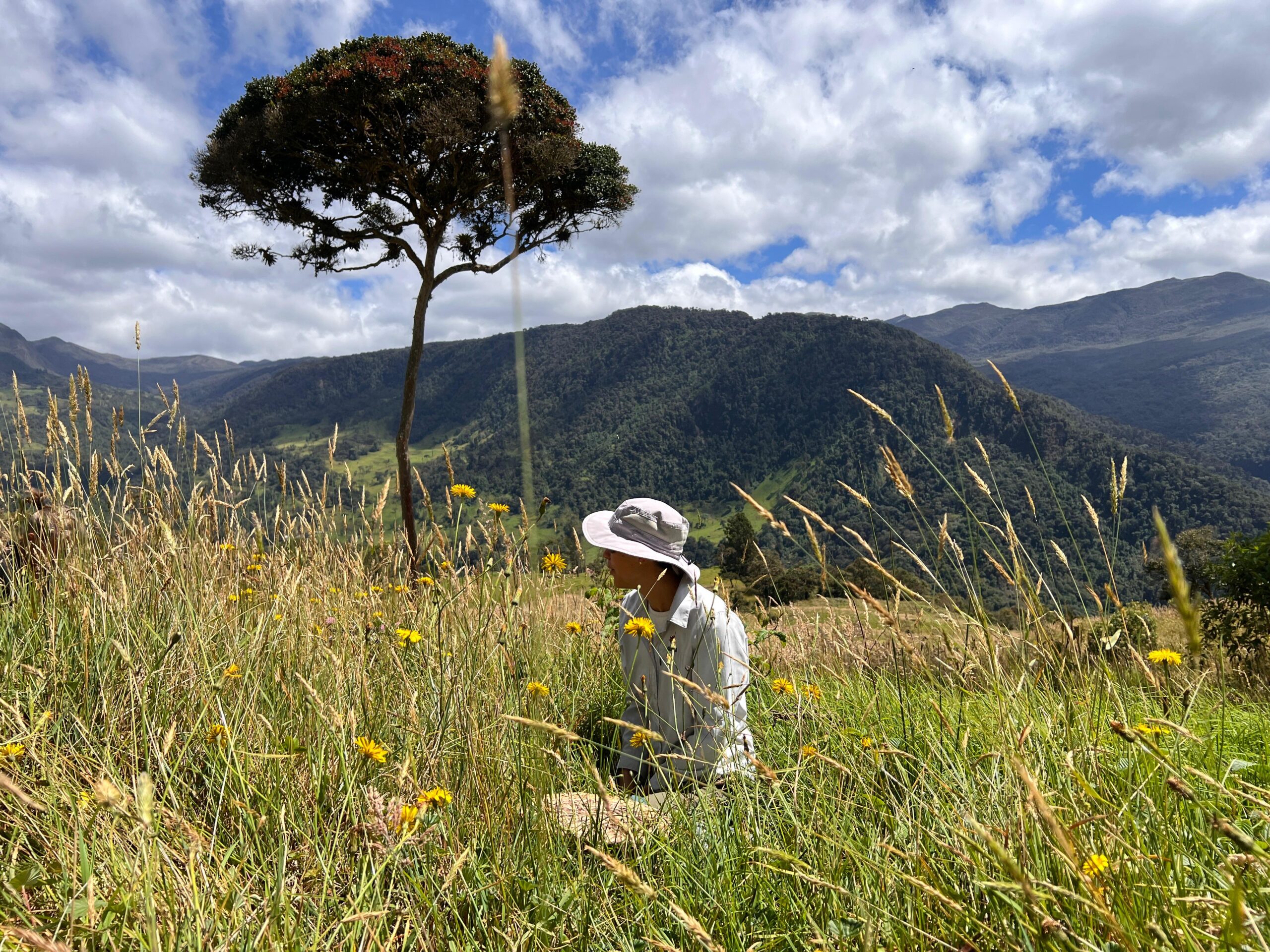 2025 11 08 18.21.16 1