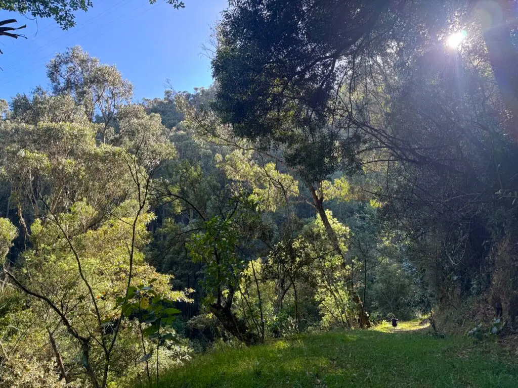 2025 11 27 08.10.57 1 2025 11 27 08.10.57 1