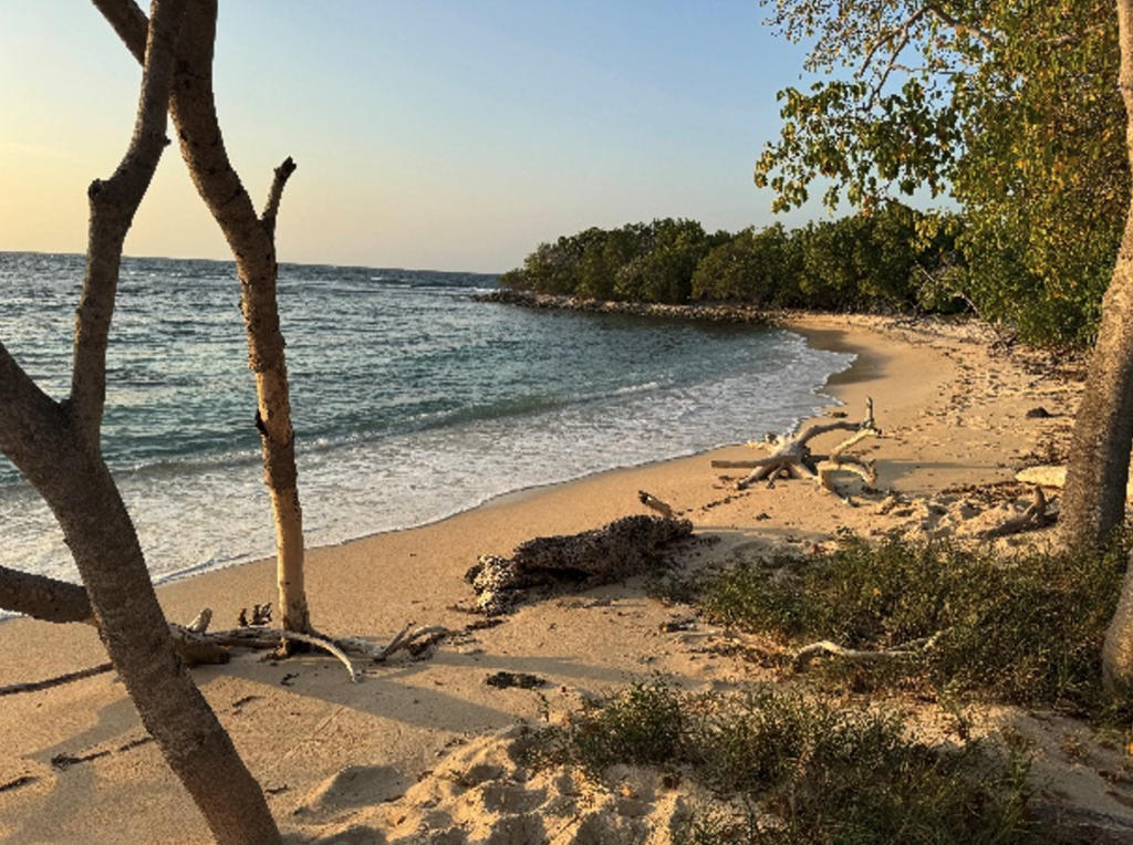 captura de pantalla 2026 01 17 a la(s) 3.33.11 p.m.